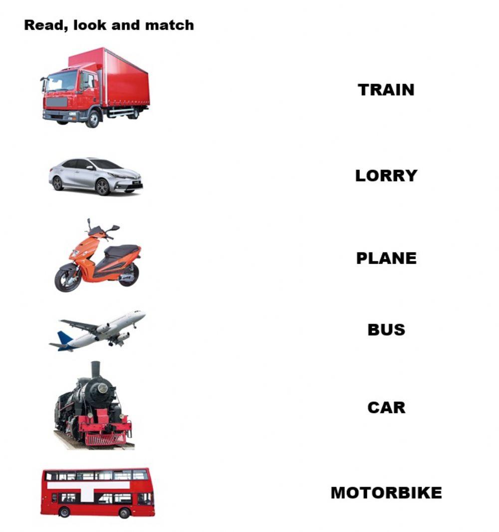 Vehicles match