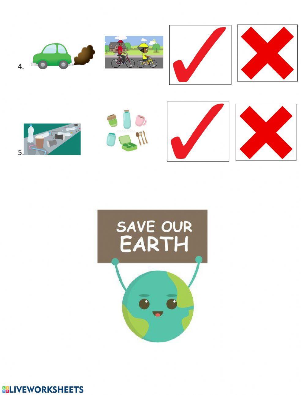 Caring for the Environment