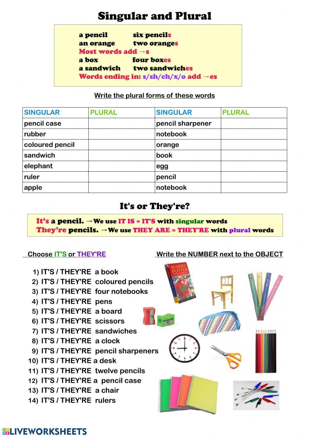 Singular and plural - school objects