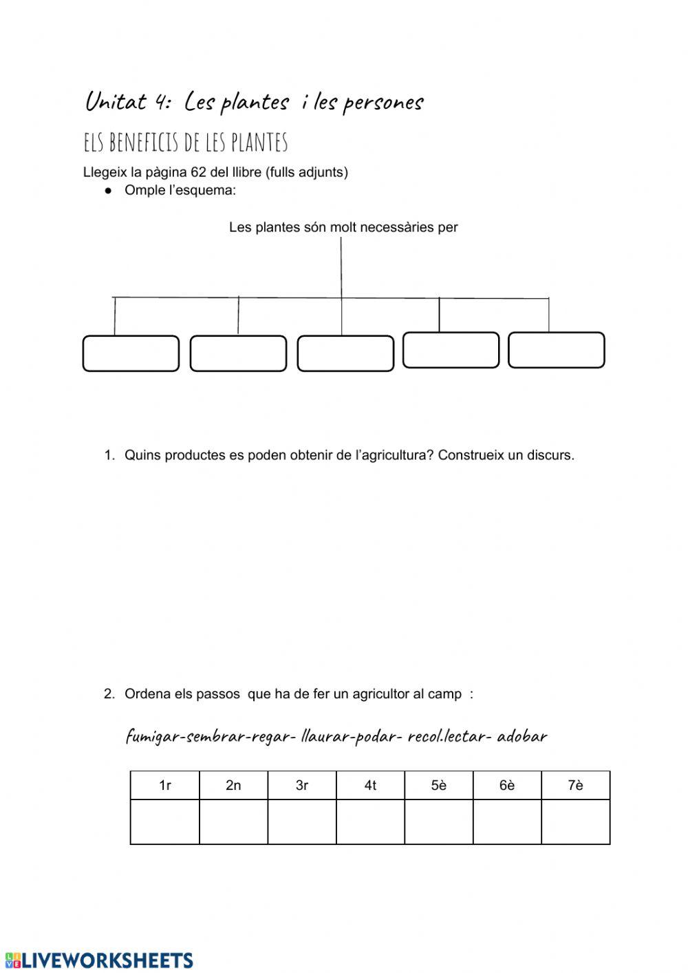 Les plantes i les persones