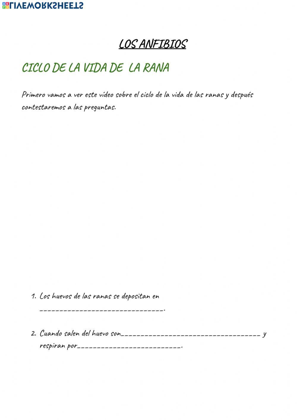 Ciclo de la vida de la rana