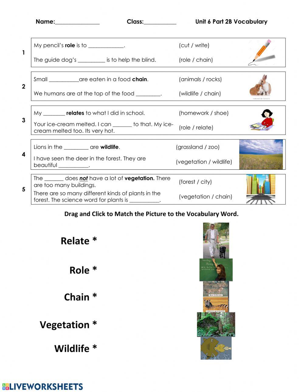 Unit 7 part 1A vocabulary