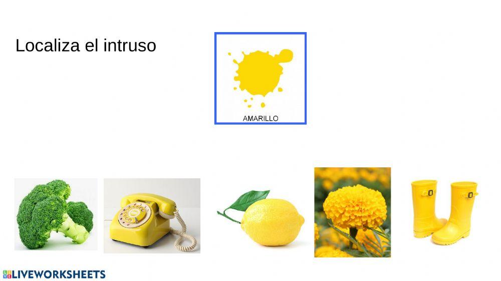 Idenifica al color intruso 3