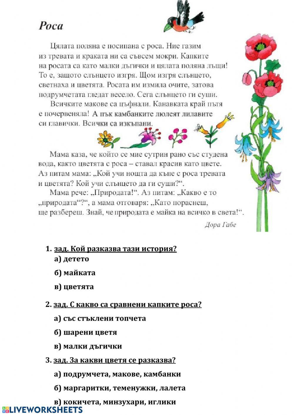 112036 | Четене с разбиране | Теодора Енчева