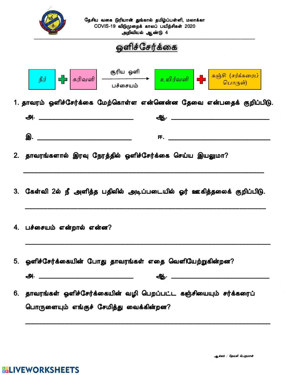 ஒளிச்சேர்க்கை ஒளிச்சேர்க்கை
