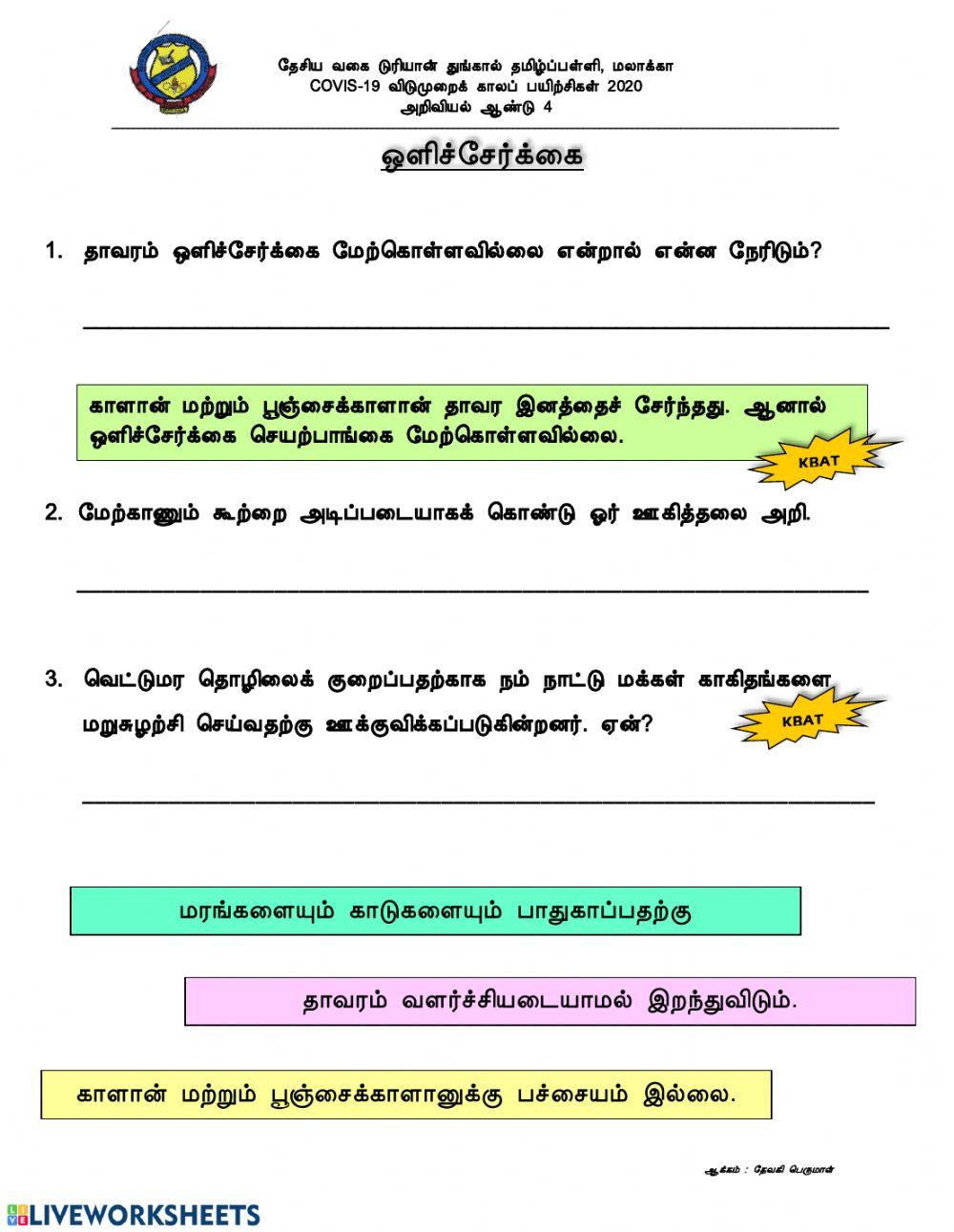 ஒளிச்சேர்க்கை ஒளிச்சேர்க்கை