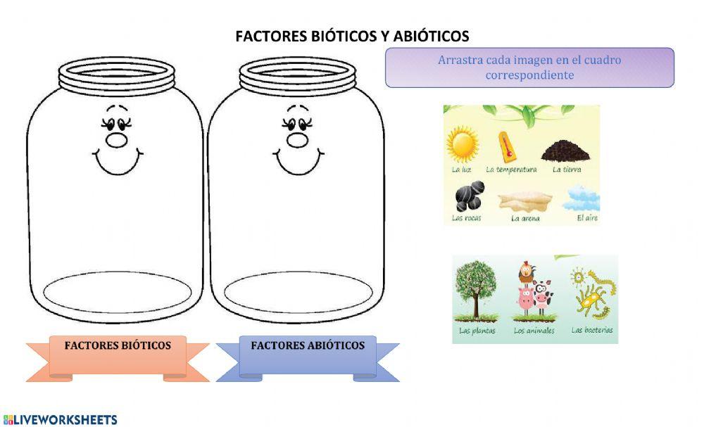 Factores abióticos y abióticos