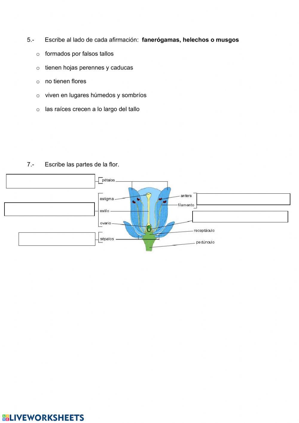 Clases de plantas y reproducción