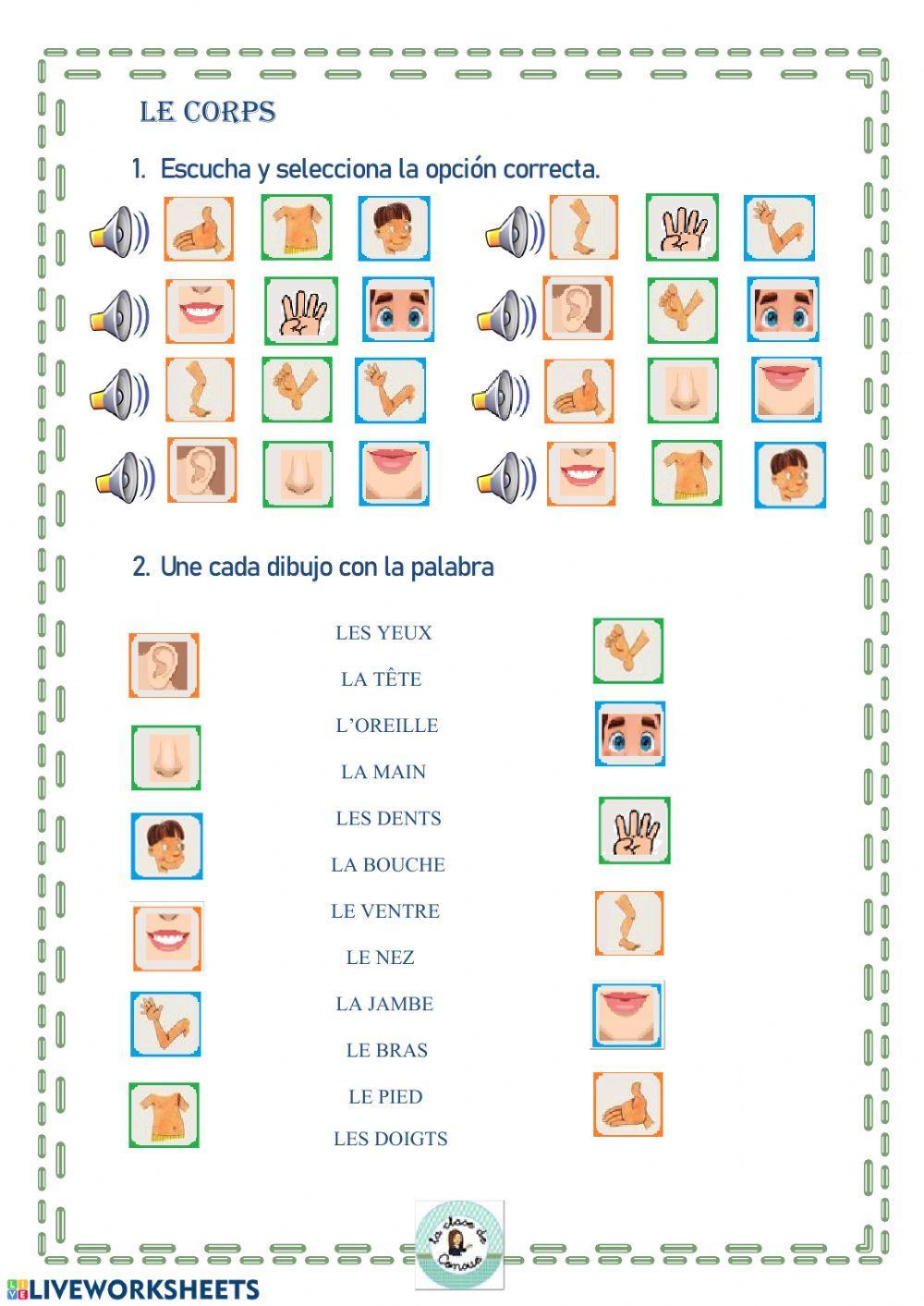 Les parties du corps I