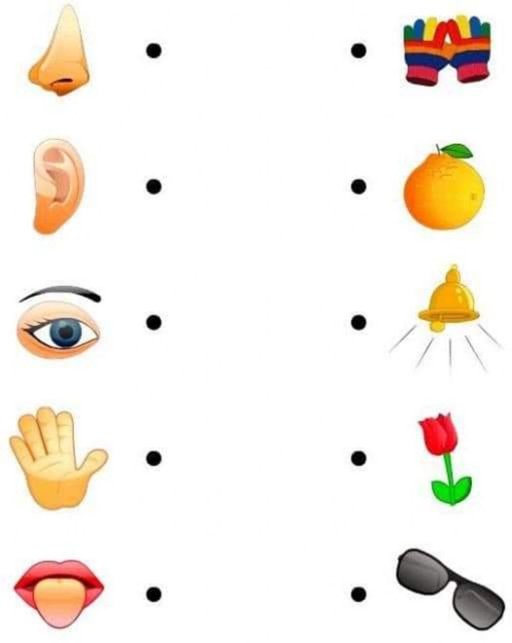 Une con flechas para relacionar los sentidos Une con flechas para relacionar los sentidos
