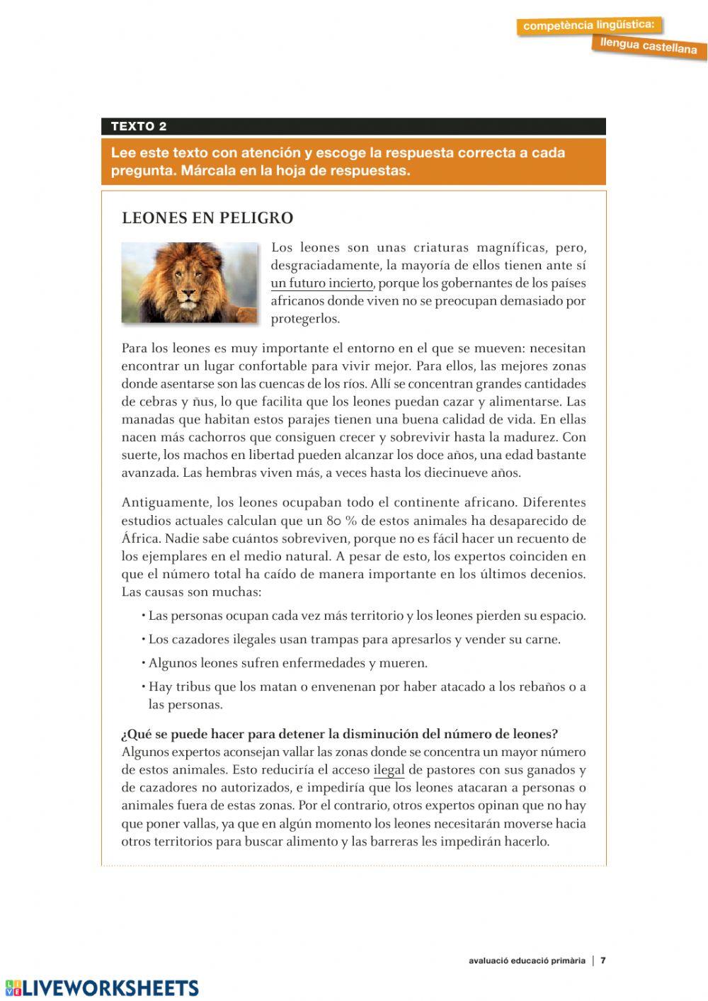 Comprensión lectora