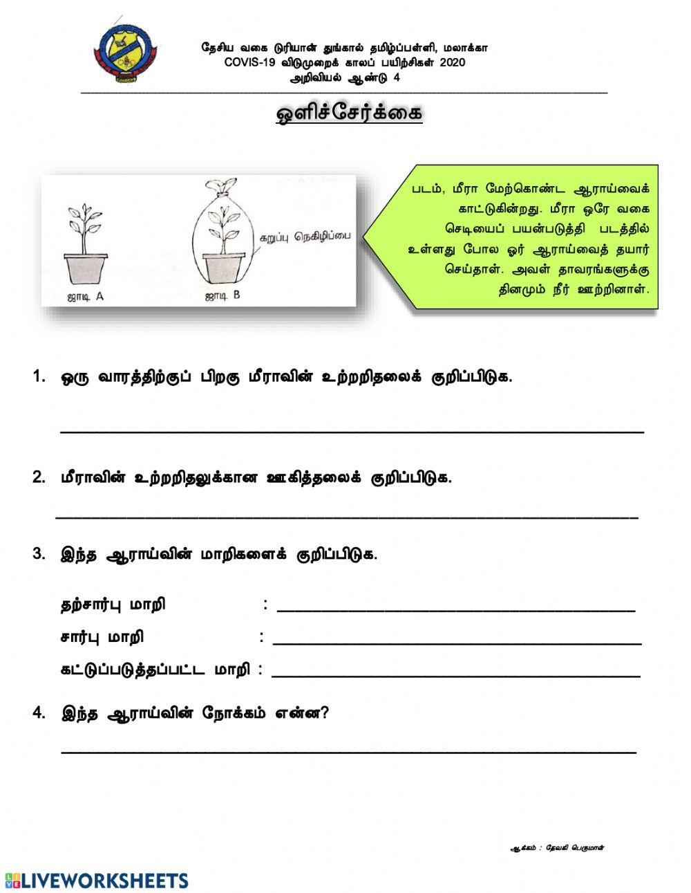 ஒளிச்சேர்க்கை ஒளிச்சேர்க்கை