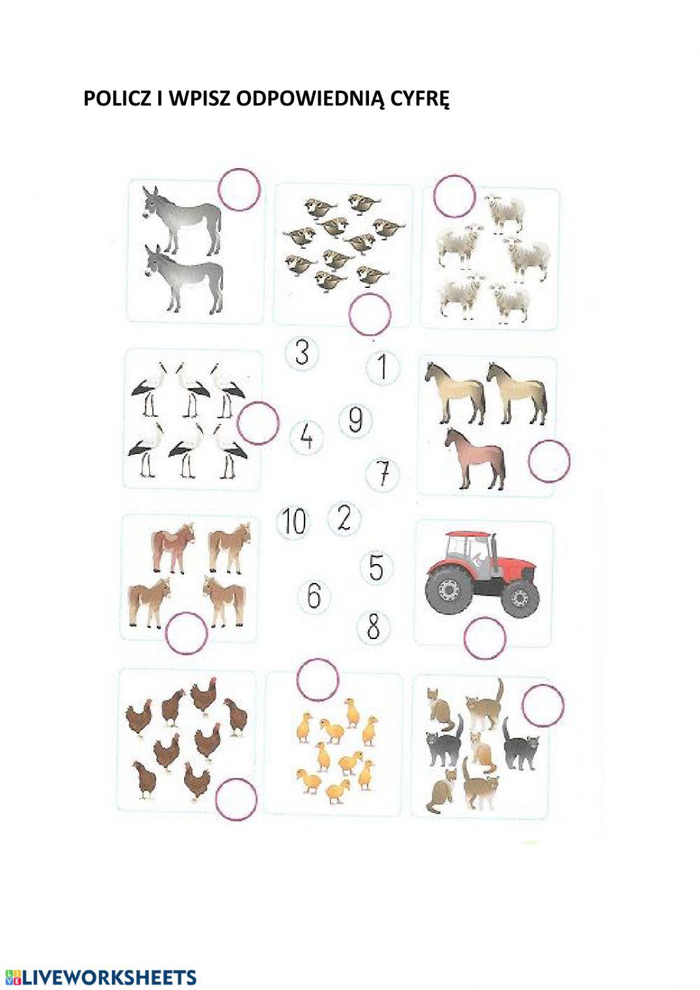 Policz i zapisz cyfrę