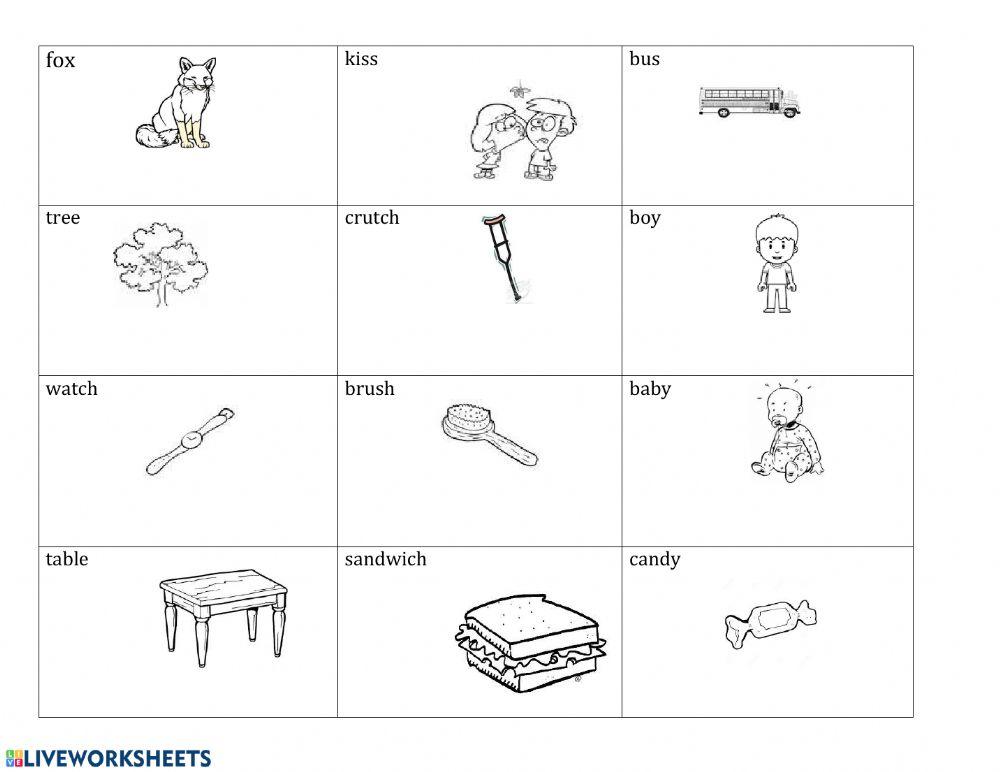 Singular and Plural Nouns