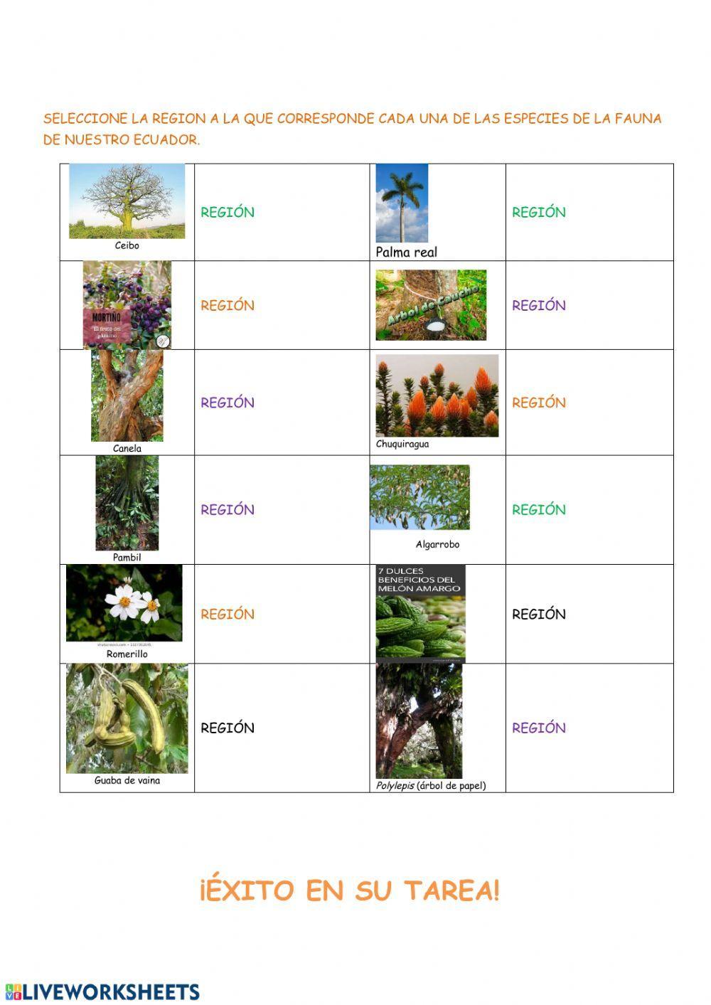 Diversidad de flora y fauna de Ecuador