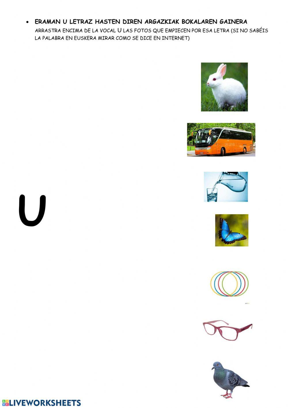 U-z hasten diren argazkiak