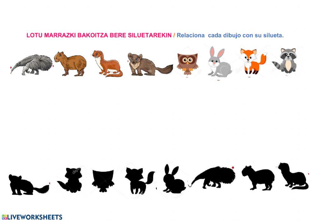 Marrazkia eta silueta