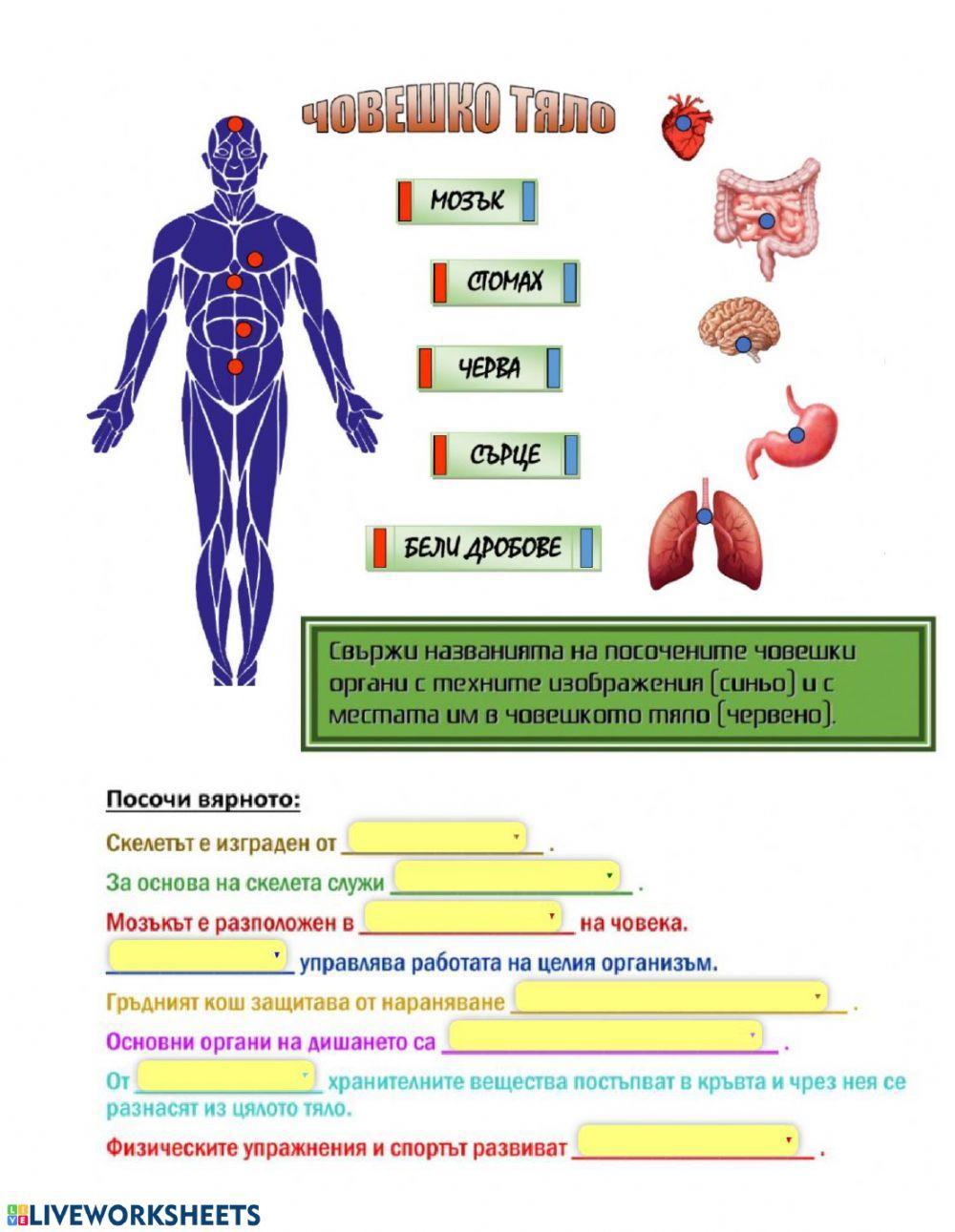 Познавам моето тяло