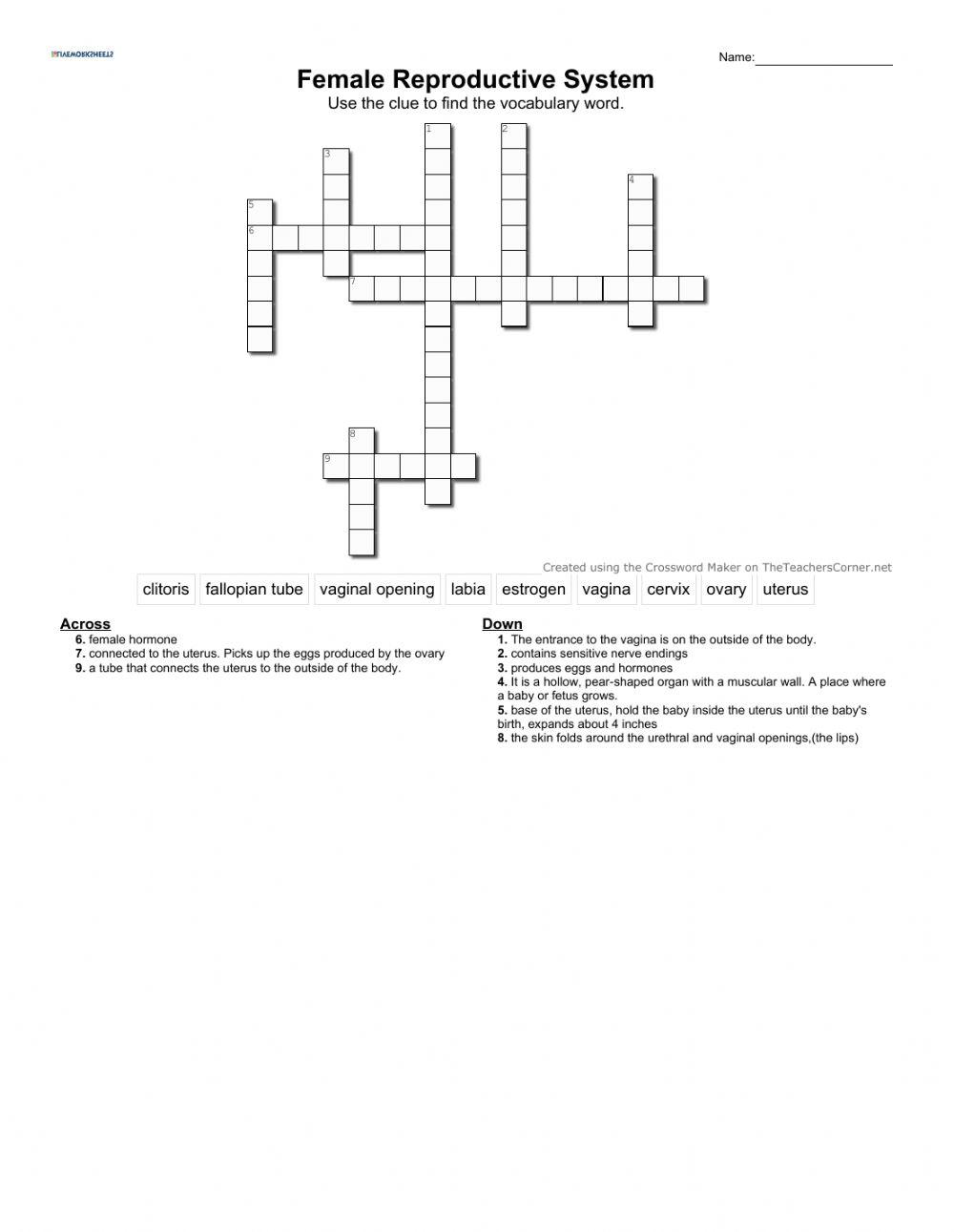 Female Reproductive System Crossword Puzzle online exercise for Live