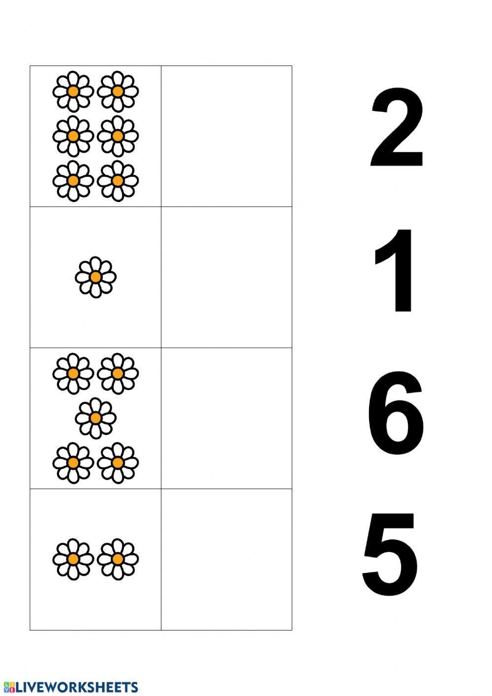 Associazione numero-quantità