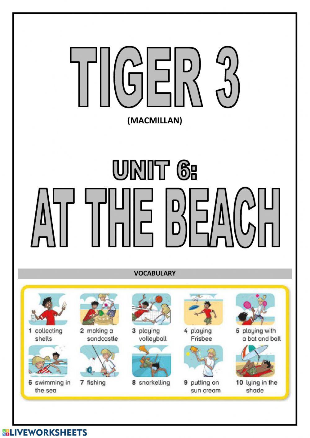 Tiger 3 - Unit 6 - Vocabulary