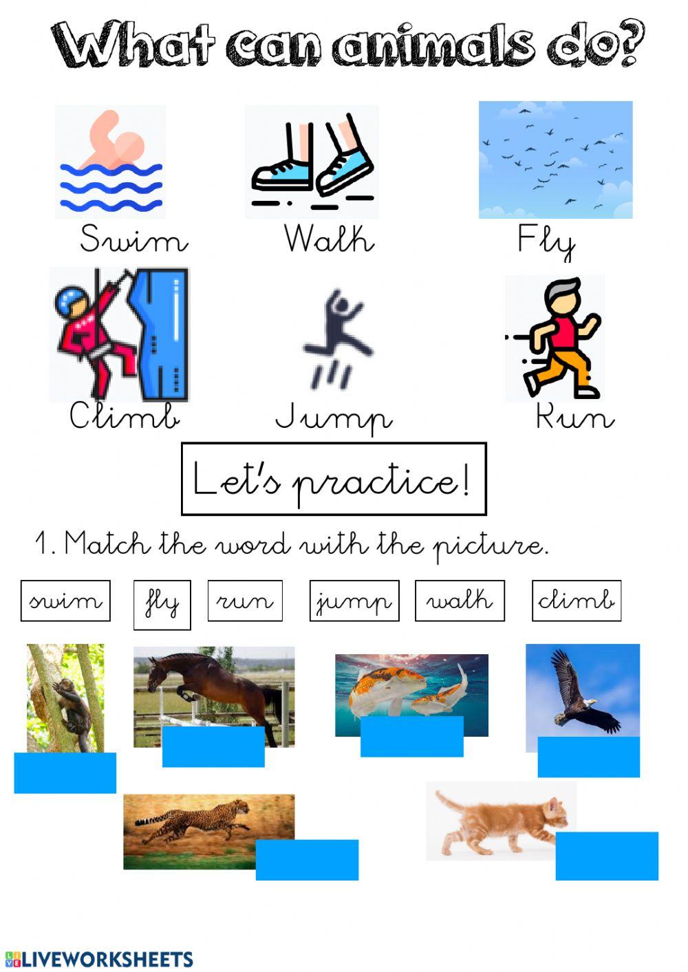 Actions Vocabulary - U8