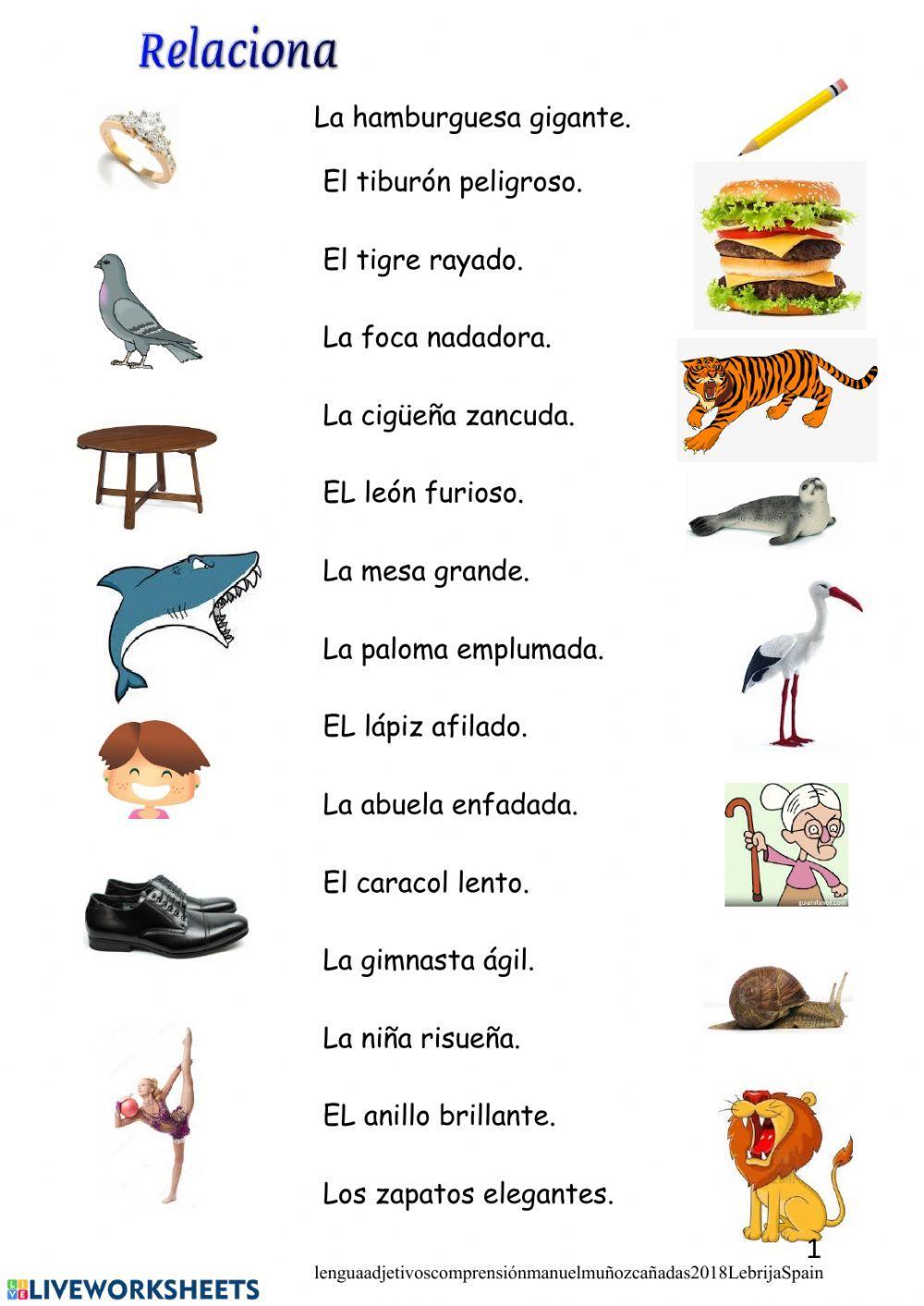 Relación entre sustantivo y adjetivo.