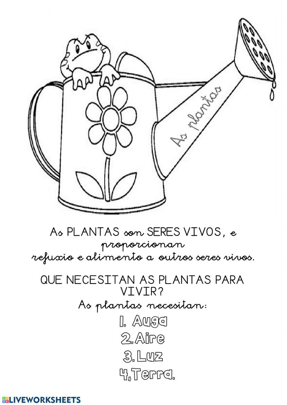 Seres vivos e seres inertes