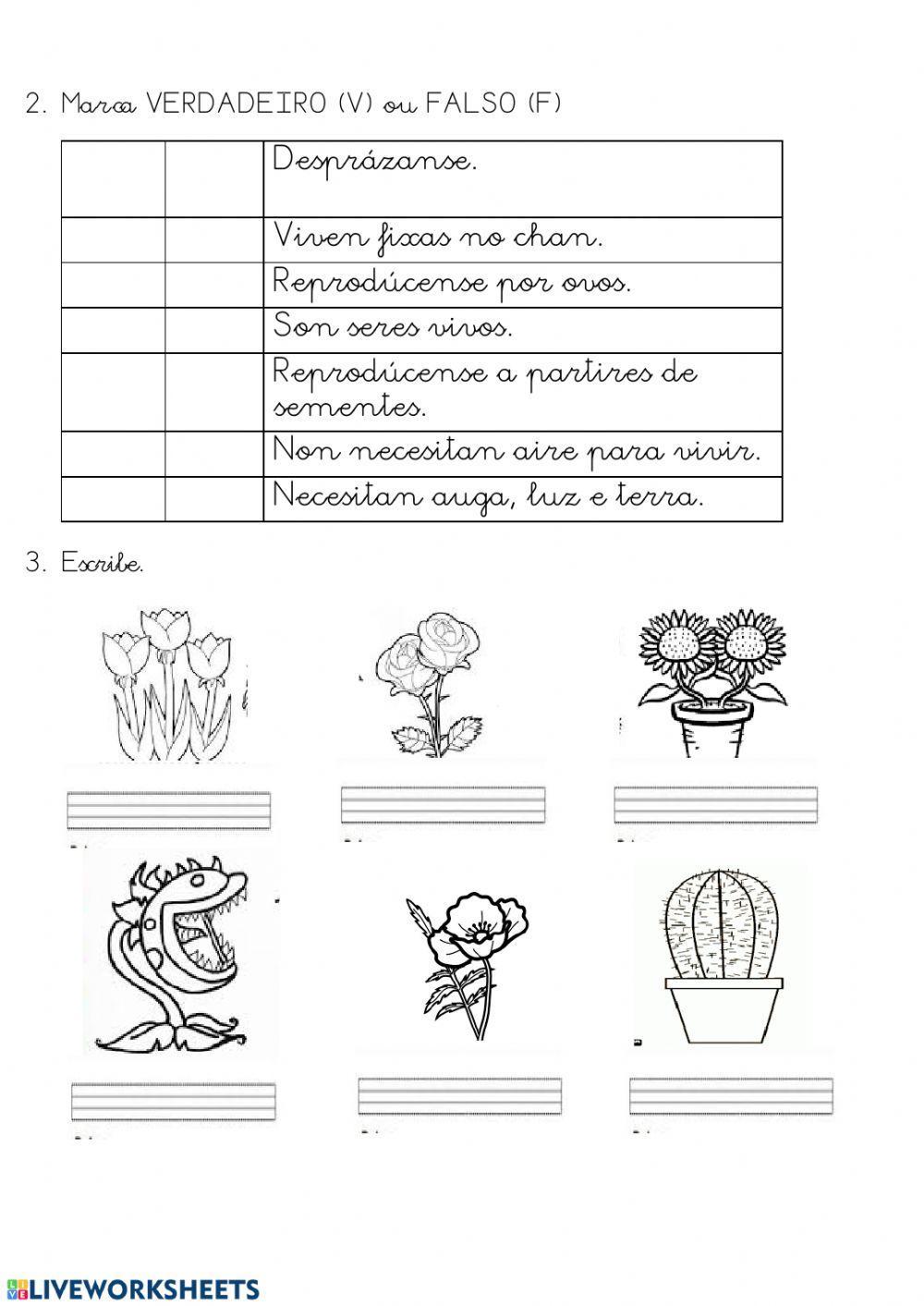 Seres vivos e seres inertes