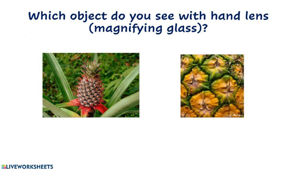 Observe and Measure Matter