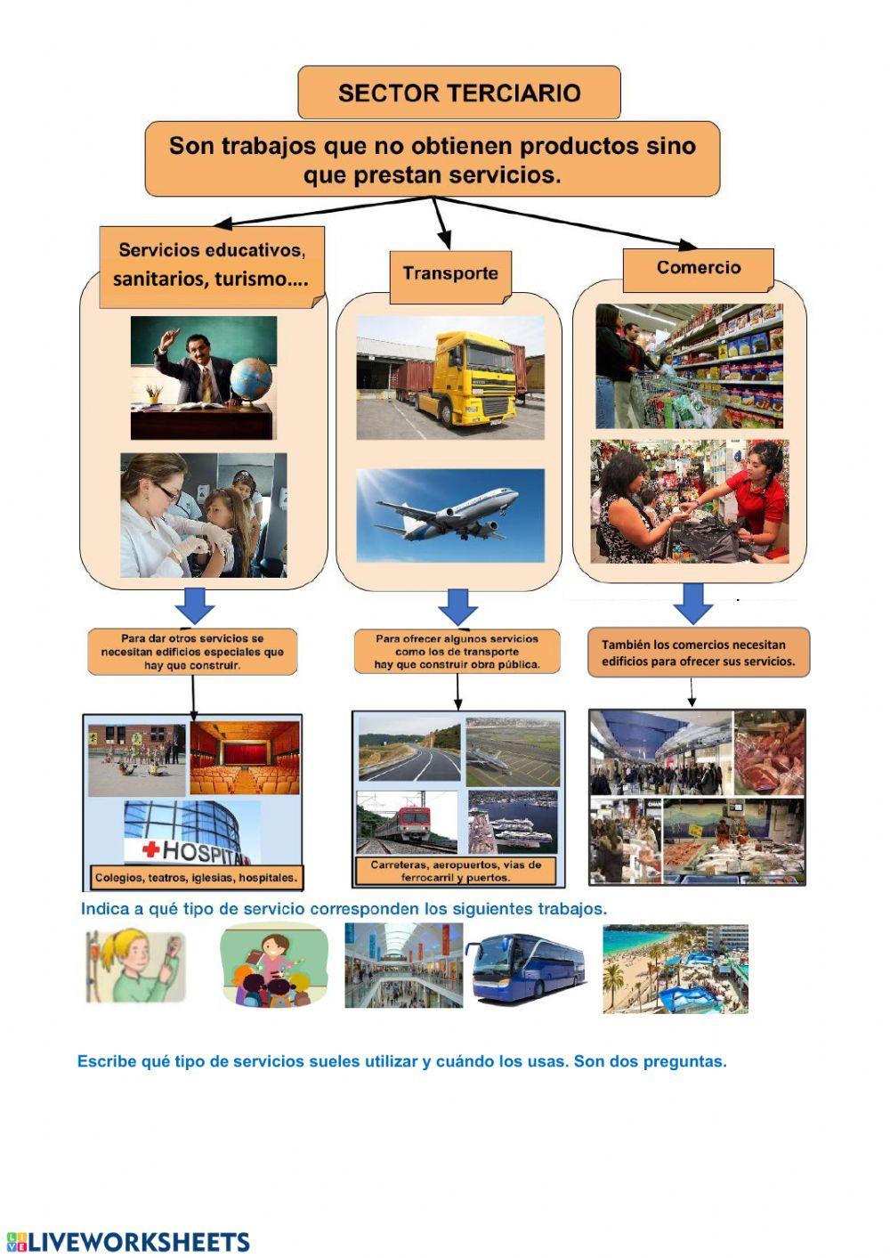 SECTOR TERCIARIO. EXPLIC