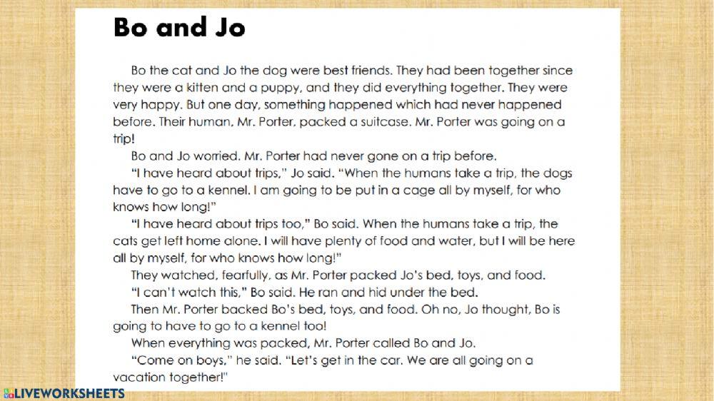 Bo and Jo (Story Sequence)