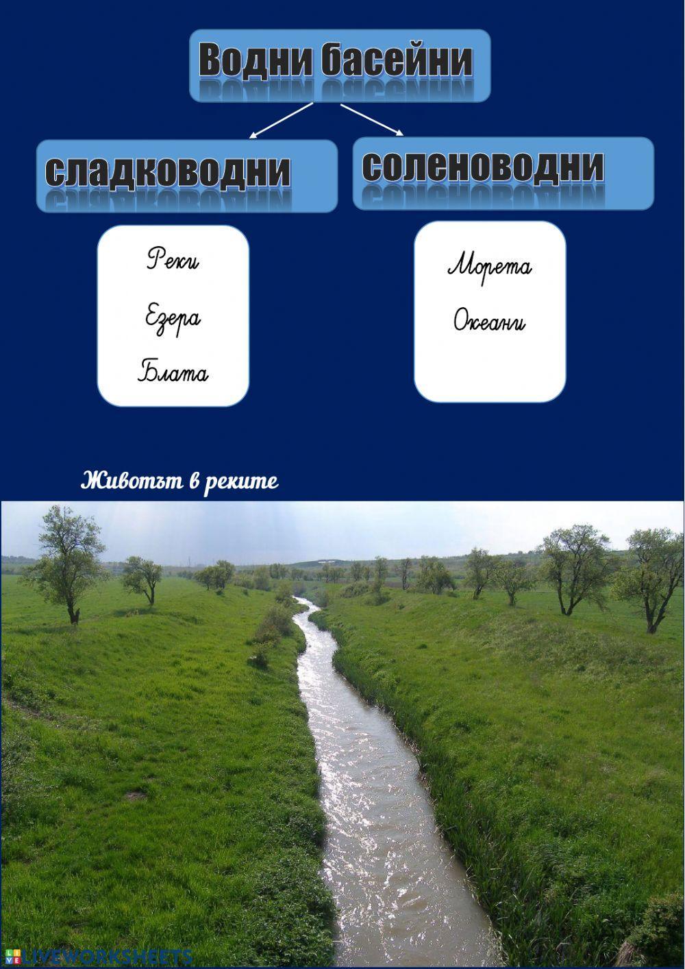 Приспособления на организмите за живот във водна среда Приспособления на организмите за живот във водна среда