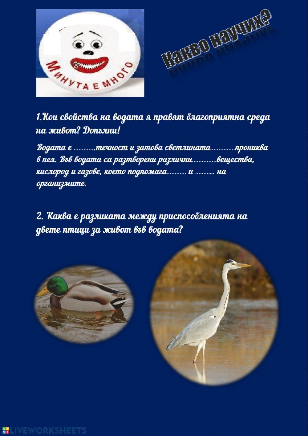 Приспособления на организмите за живот във водна среда Приспособления на организмите за живот във водна среда