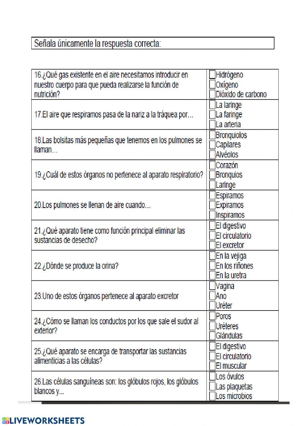 Los aparatos del cuerpo humano