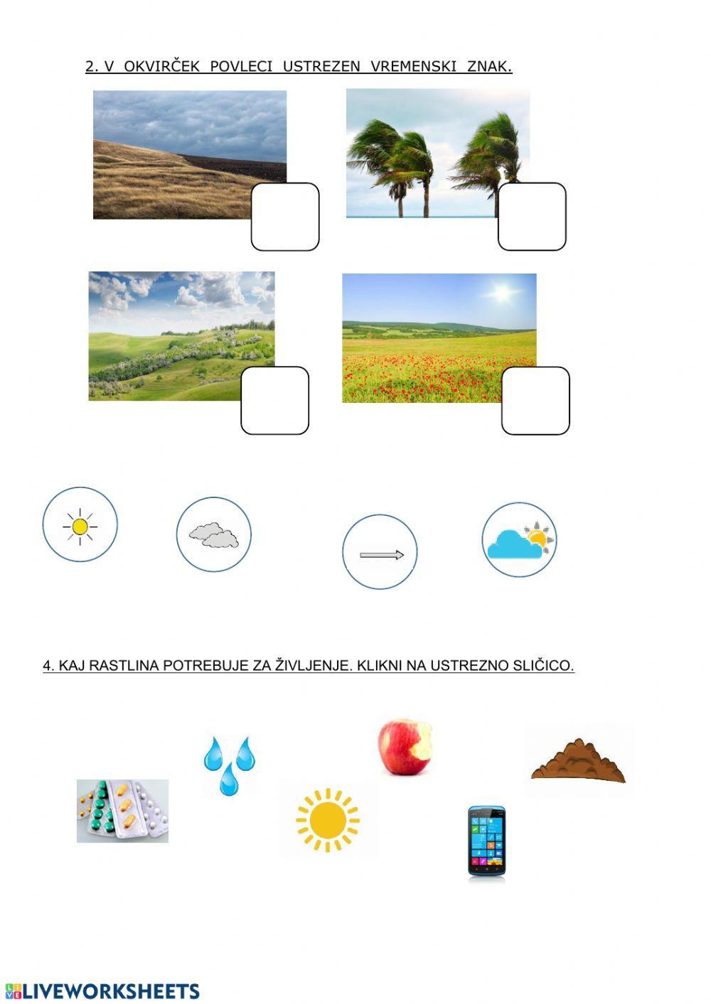 Preverjanje znanja - spoznavanje okolja 1