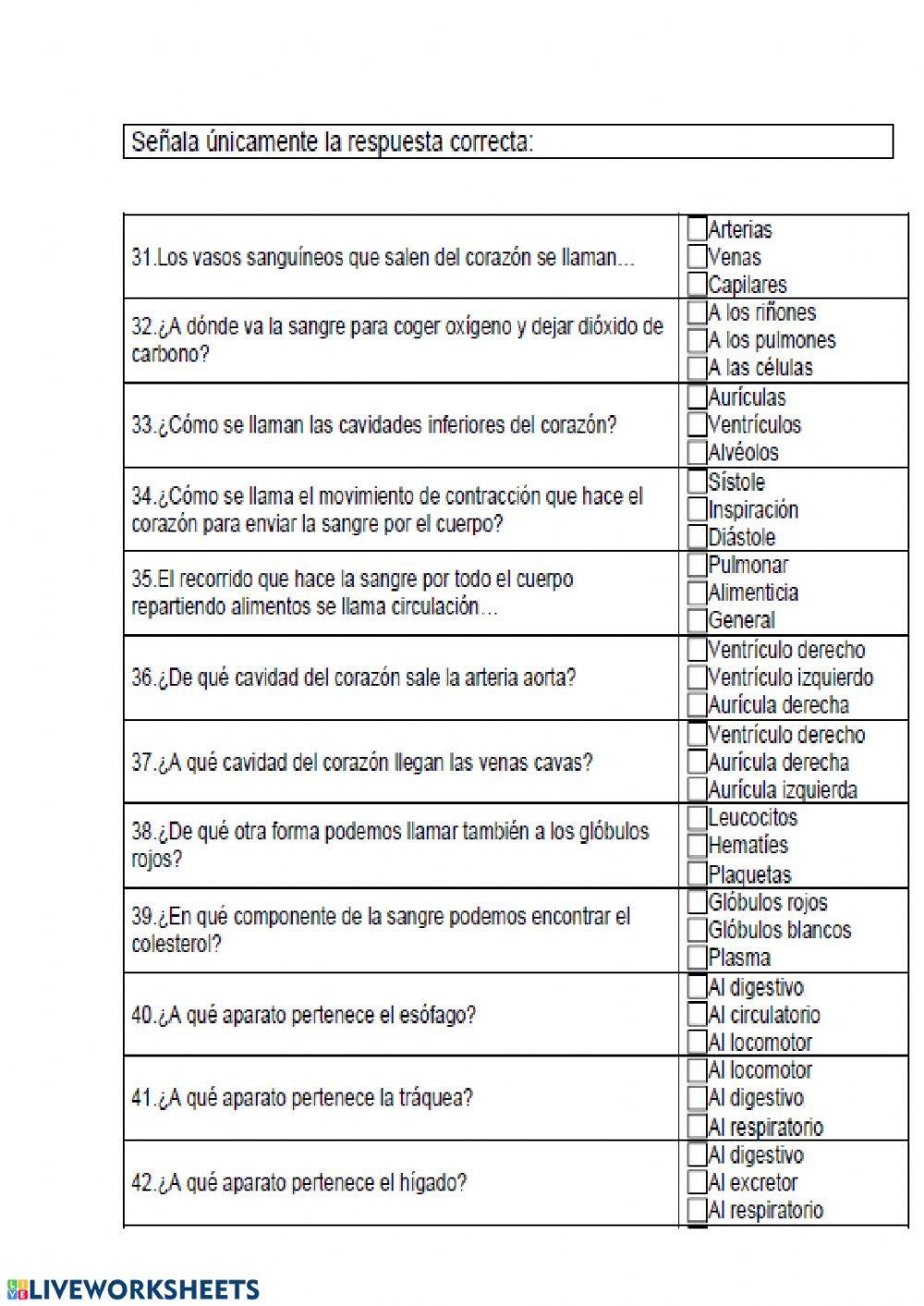 Los aparatos del cuerpo humano 2