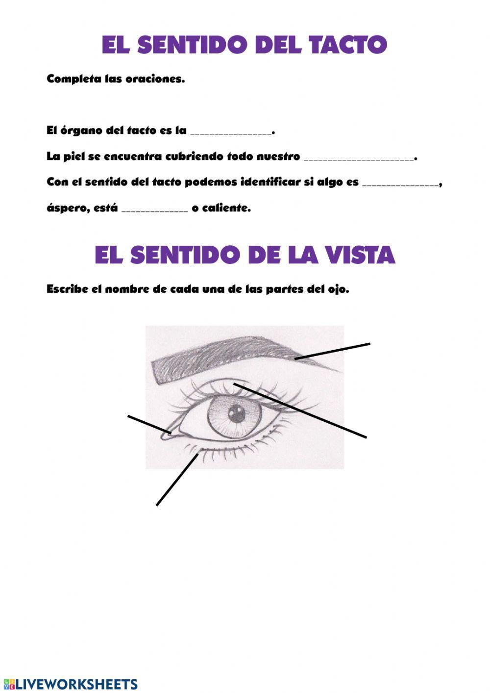 Gusto,olfato, vista y tacto