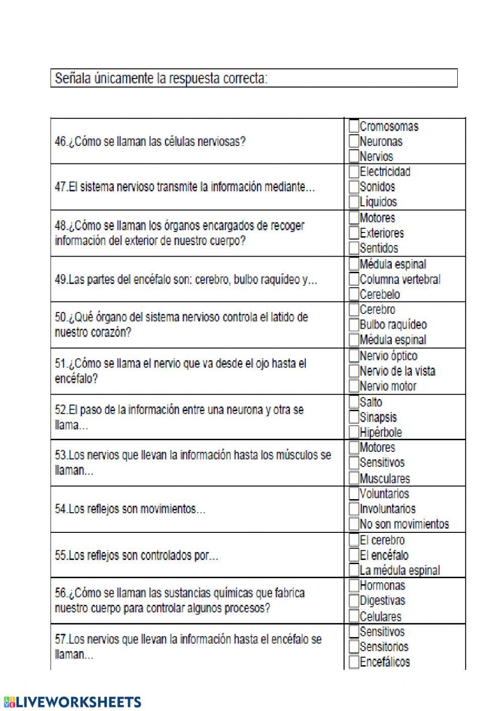 Los aparatos del cuerpo humano 3