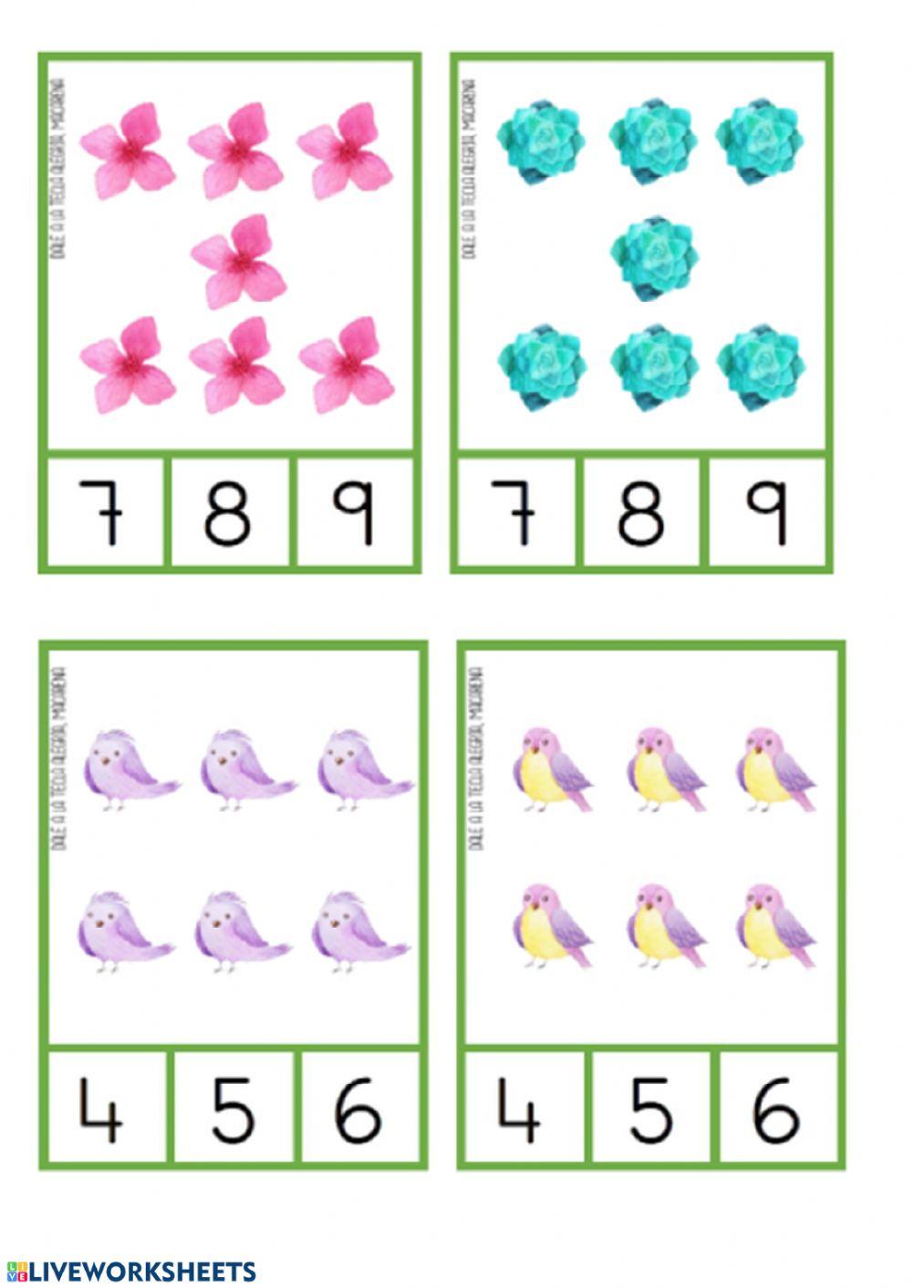 Conteo primaveral 4-5-6-7