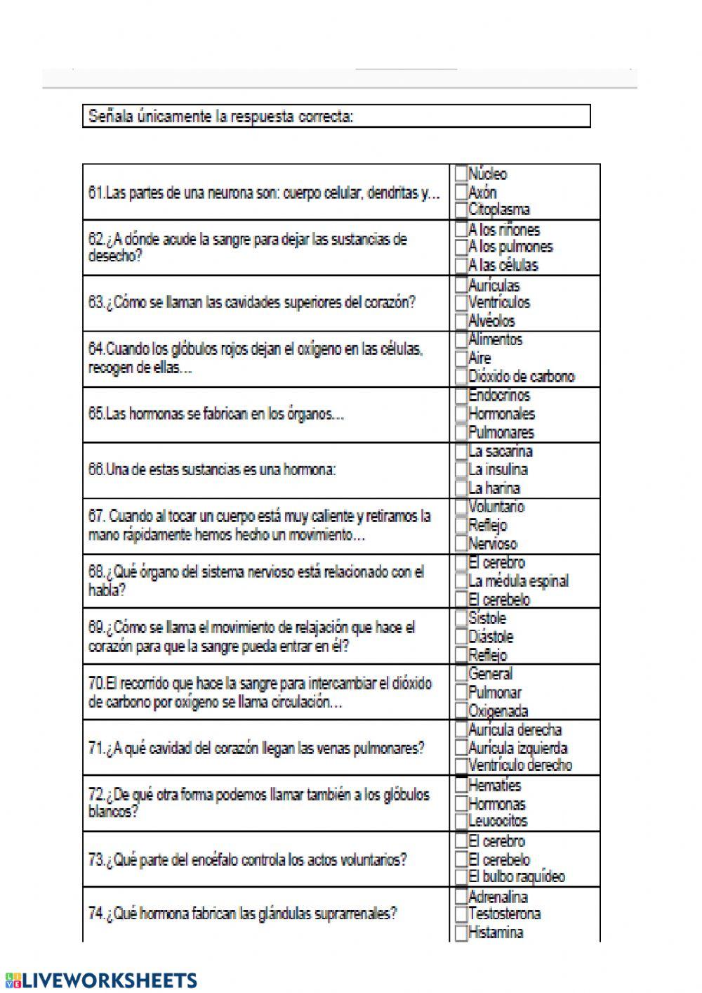 Los aparatos del cuerpo humano 4