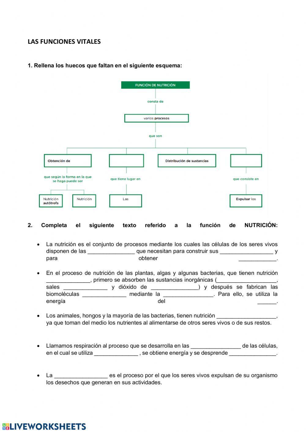 Las funciones vitales