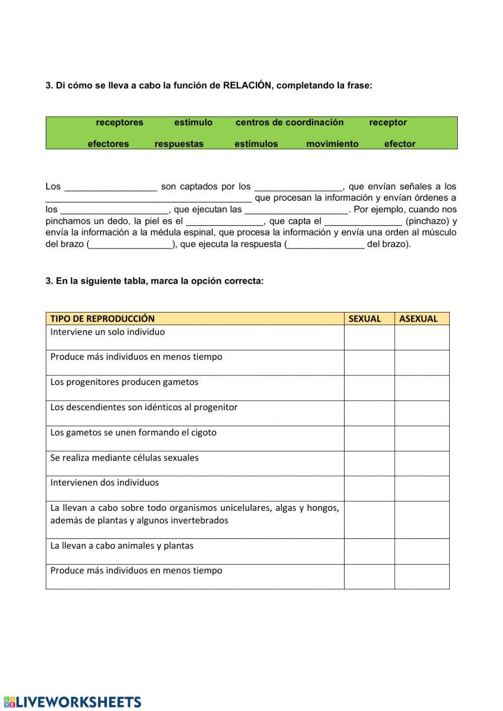 Las funciones vitales