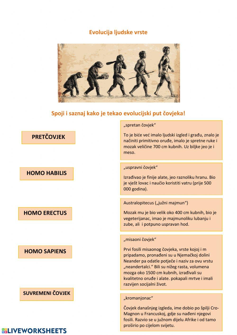 Evolucija ljudske vrste