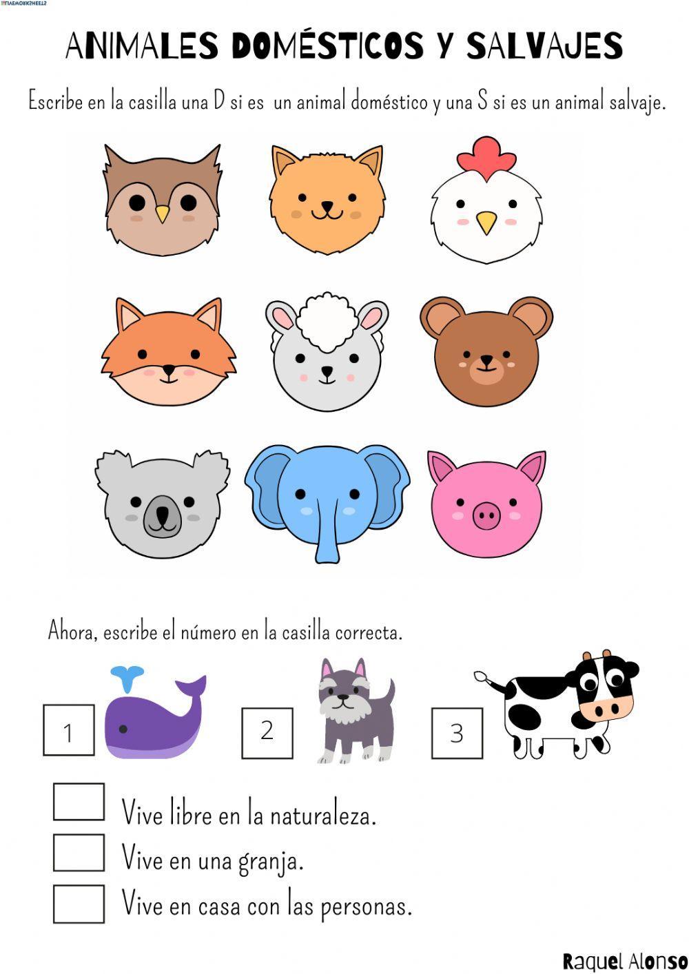 Animales domésticos y animales salvajes