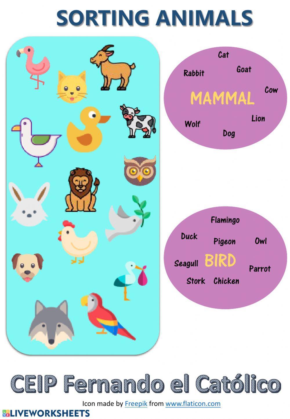 Mammals and birds