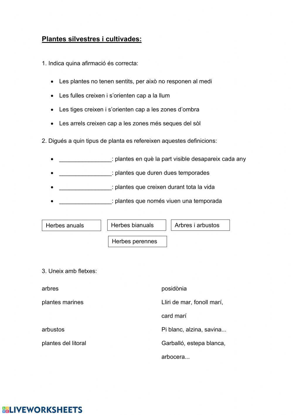 Plantes silvestres i cultivades