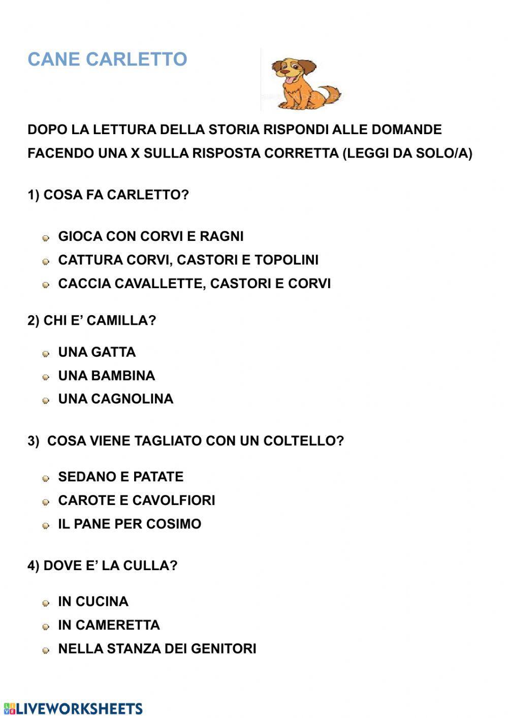 Comprensione del testo