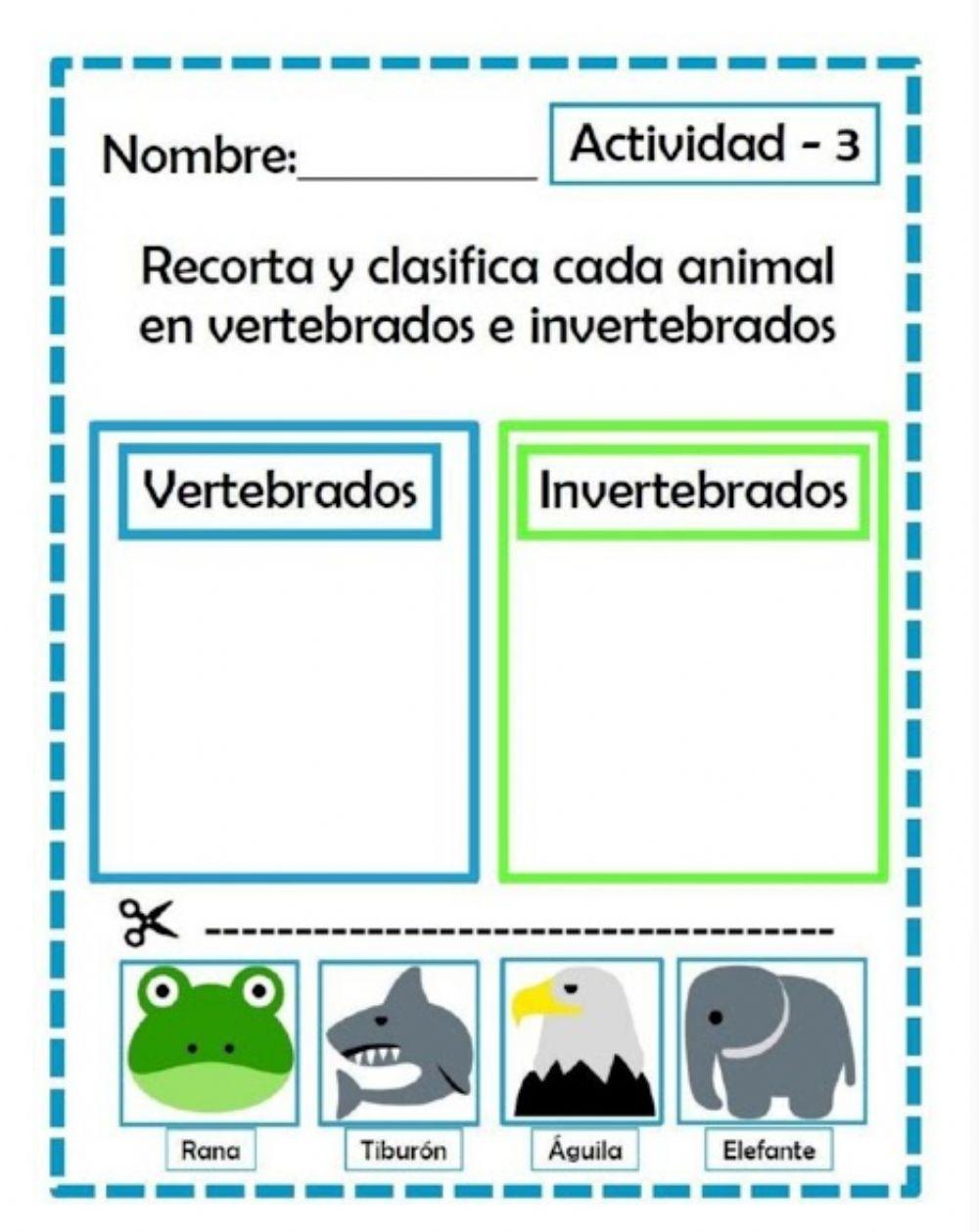 Animals vertebrados e invetebrados