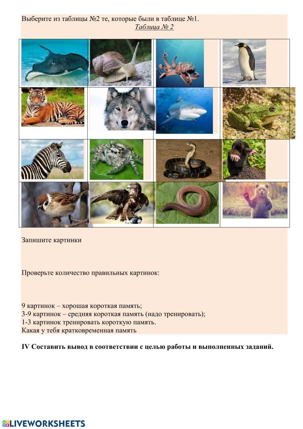 Определение разных видов памяти